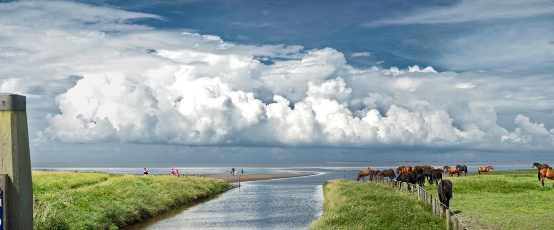 Vakantieverblijf Te Plak Chalet